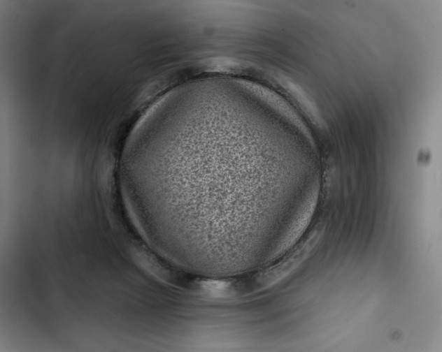 X0000102460265200808221626