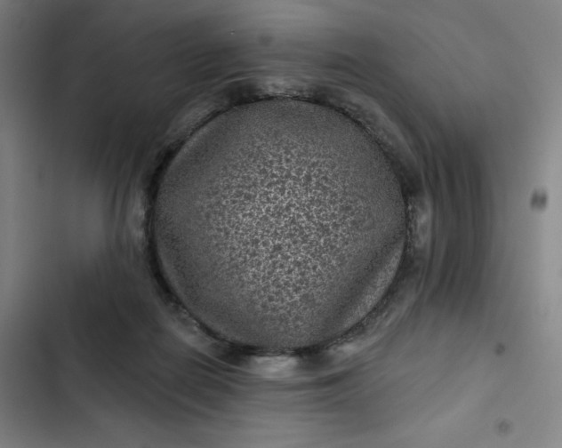 X0000102460266200808221626