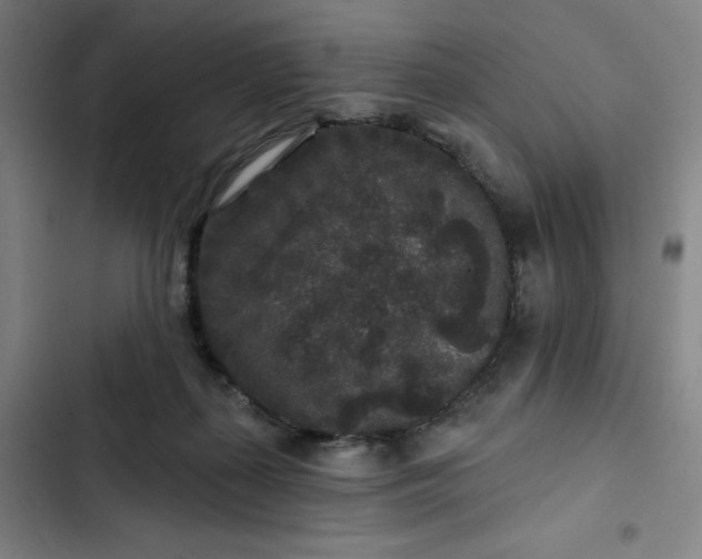 X0000102460267200808221626