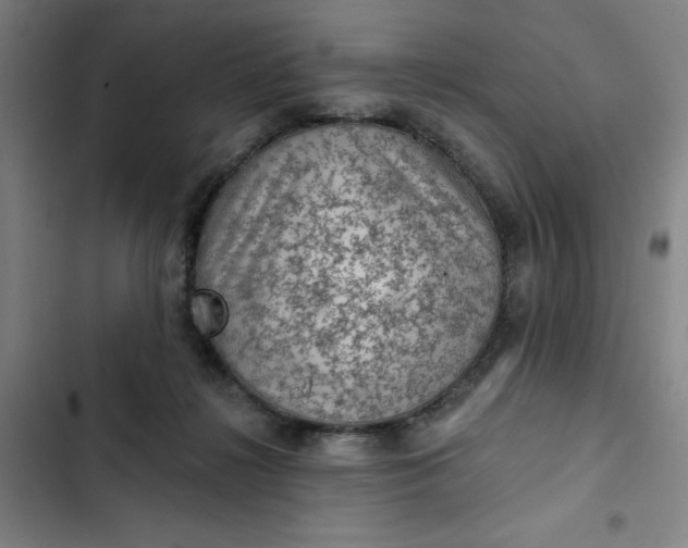 X0000102460268200808221626