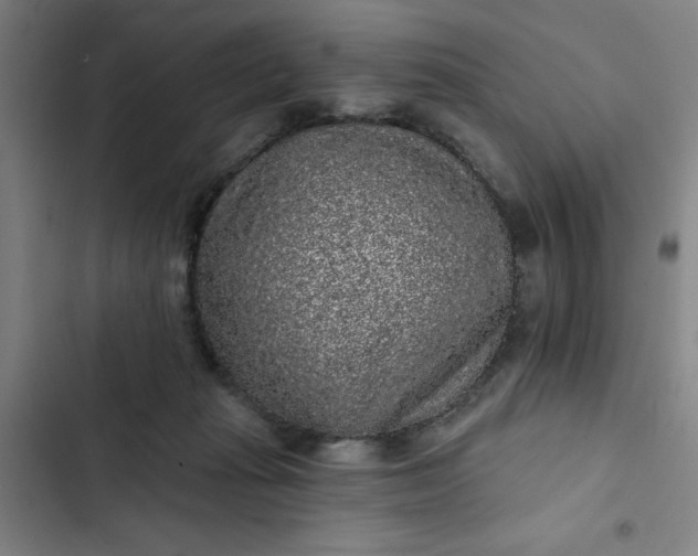 X0000102460269200808221626