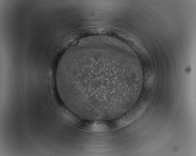 X0000102460270200808221626