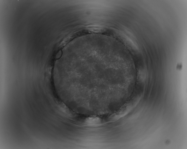 X0000102460271200808221626