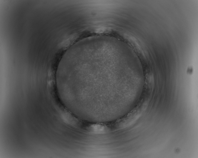 X0000102460272200808221626