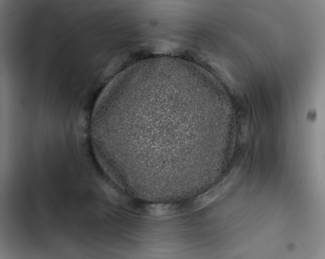 X0000102460273200808221626