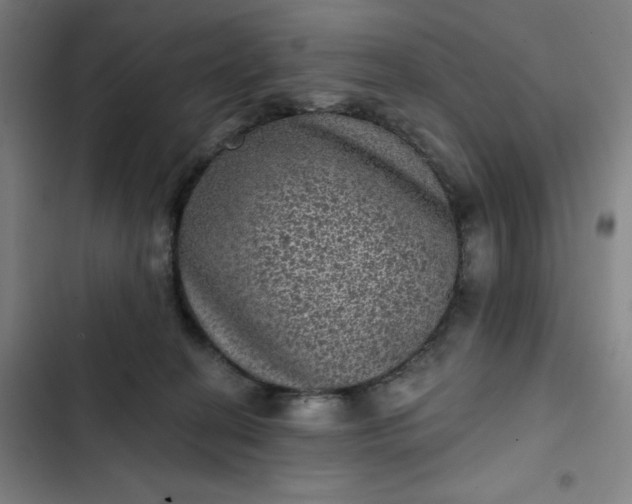 X0000102460274200808221626