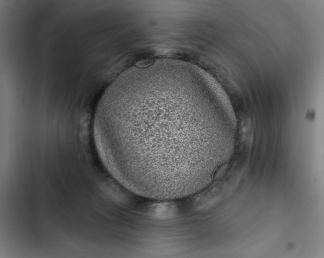 X0000102460275200808221626