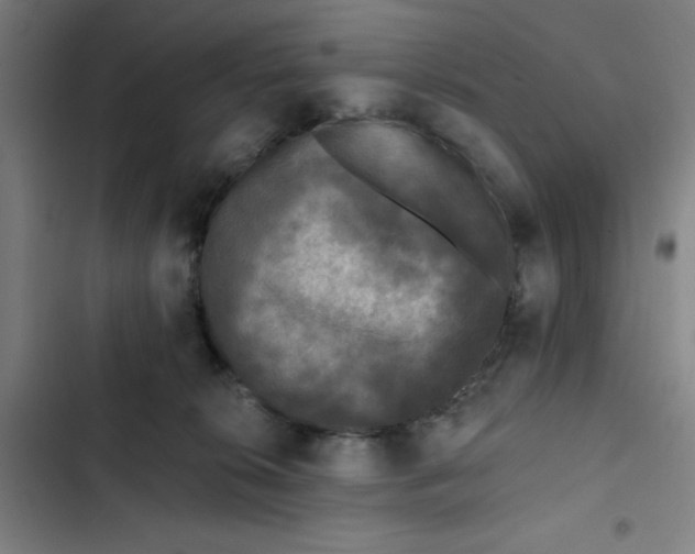 X0000102460276200808221626