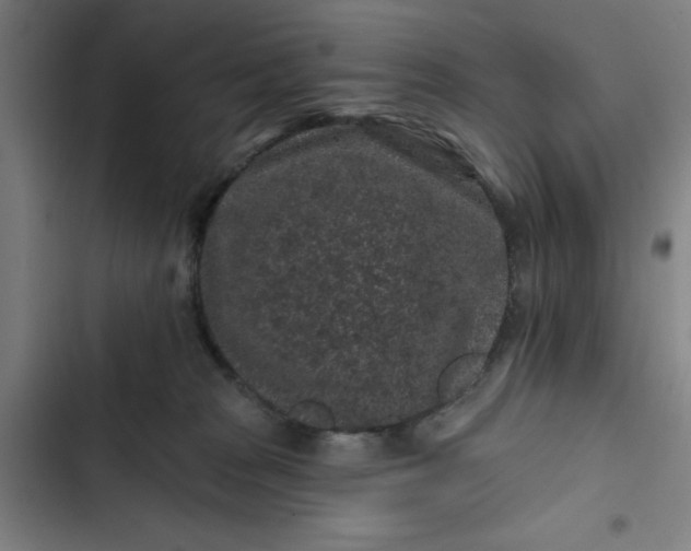 X0000102460277200808221626