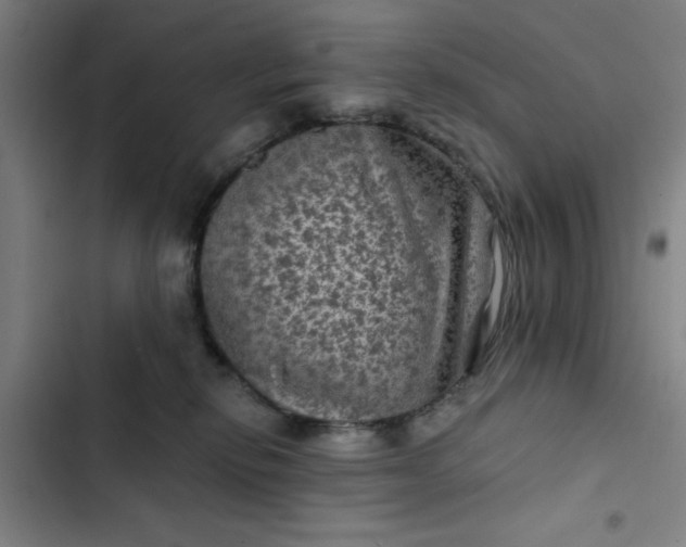 X0000102460278200808221626