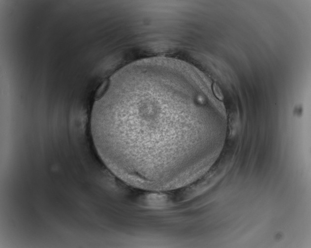 X0000102460279200808221626