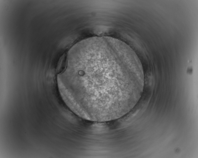 X0000102460280200808221626