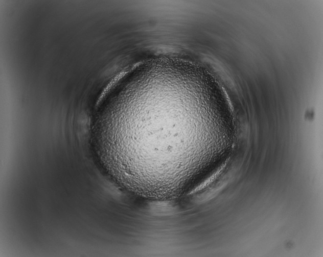 X0000102460281200808221626