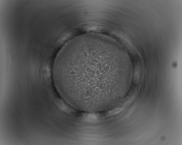 X0000102460282200808221627