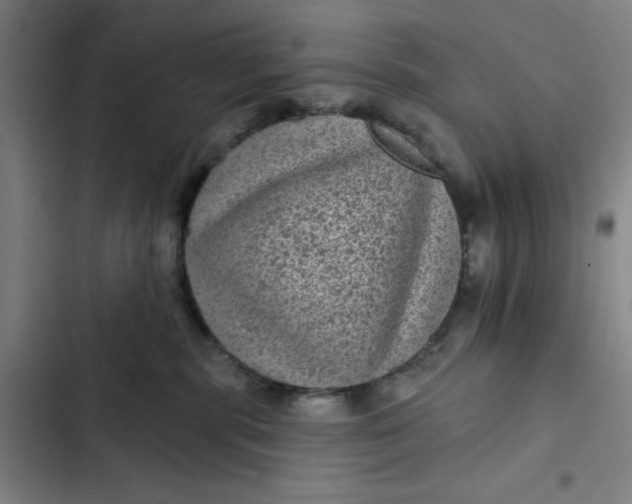 X0000102460283200808221627