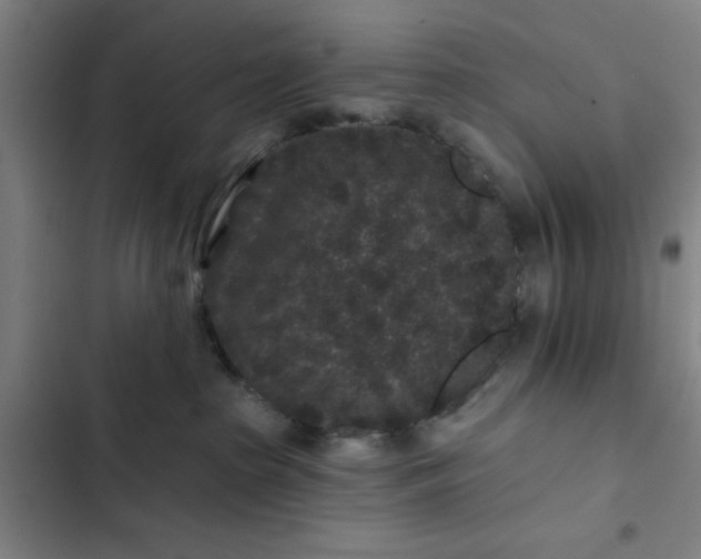 X0000102460285200808221627