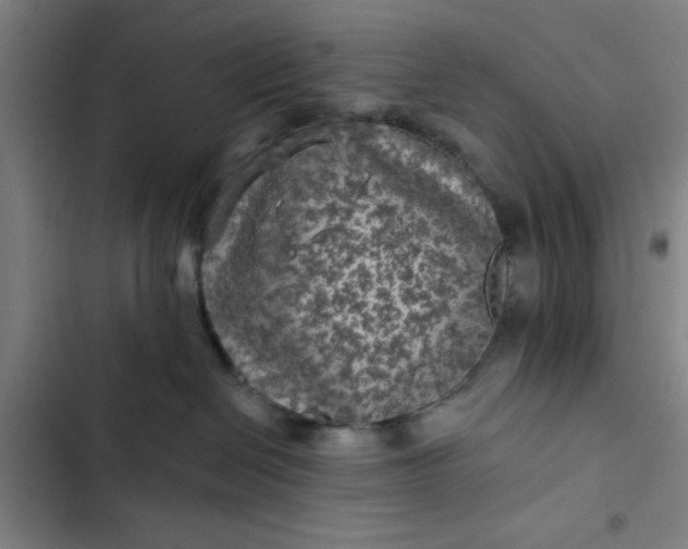 X0000102460286200808221627