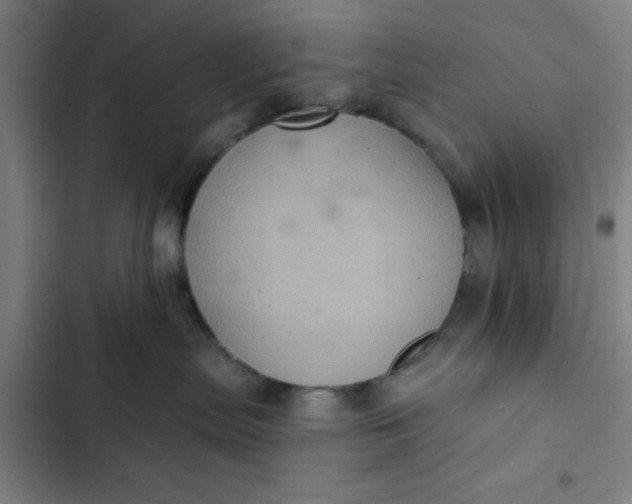 X0000102460287200808221627