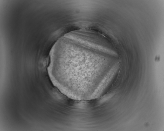 X0000102460288200808221627