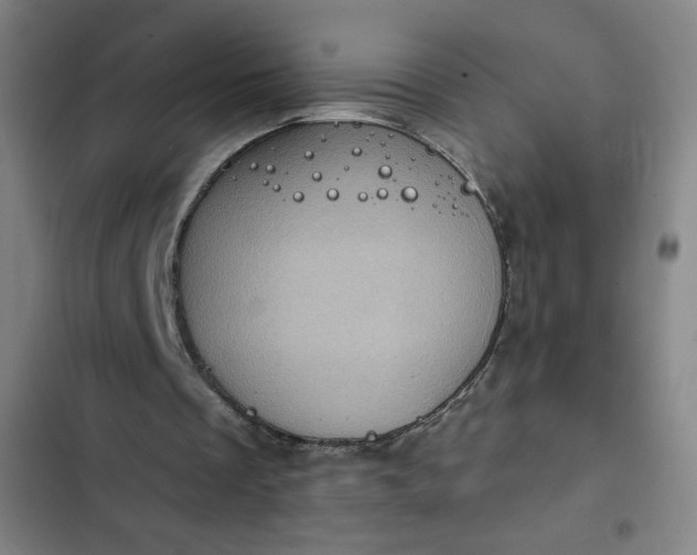 X0000102460289200808221626