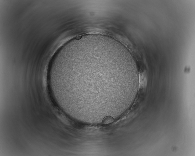 X0000102460291200808221626