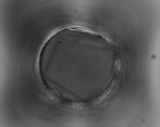 X0000102460292200808221626