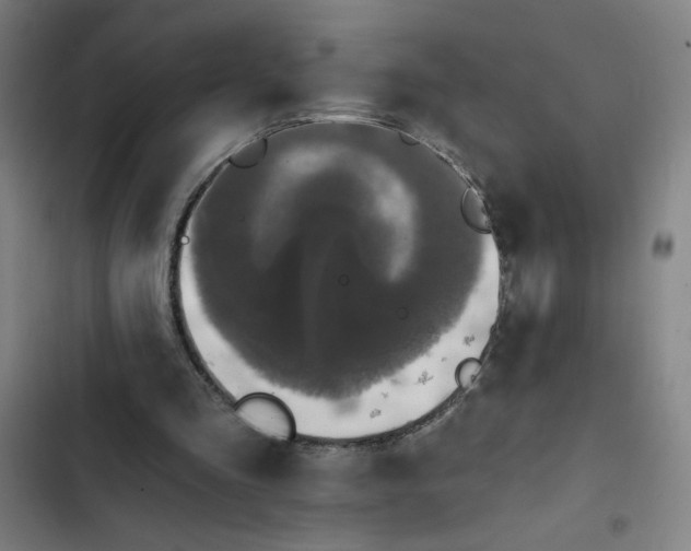 X0000102460293200808221626