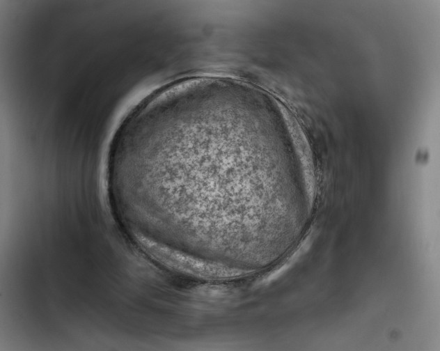 X0000102460294200808221626