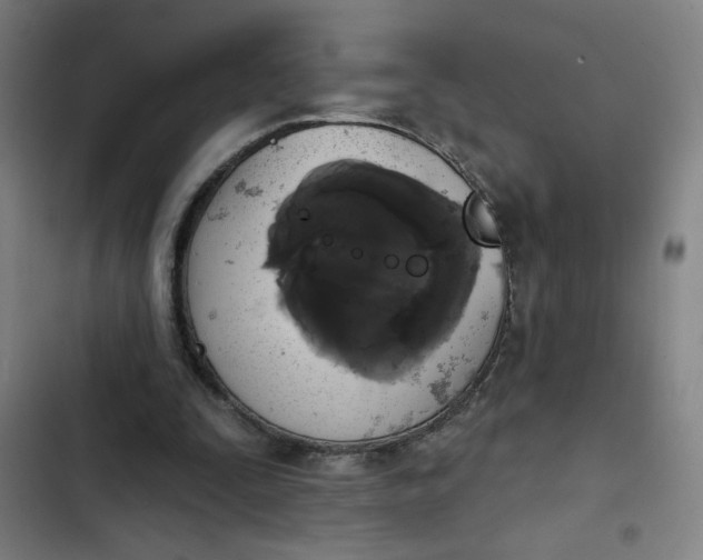 X0000102460295200808221626