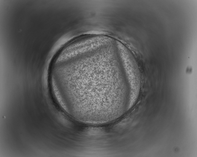 X0000102460296200808221626