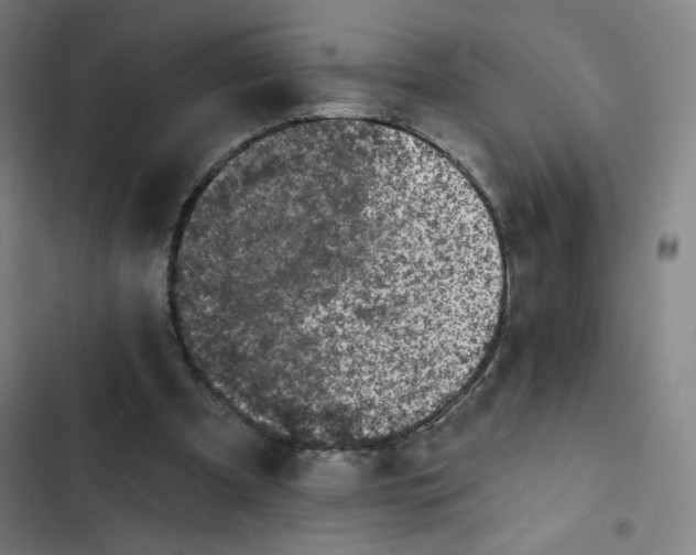 X0000102460297200808221626