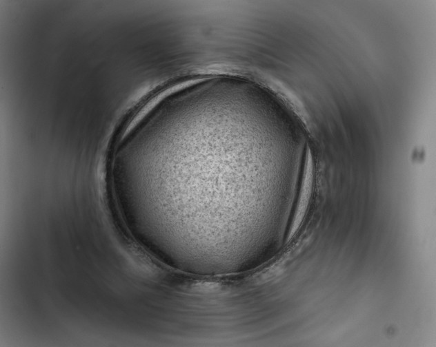 X0000102460298200808221626