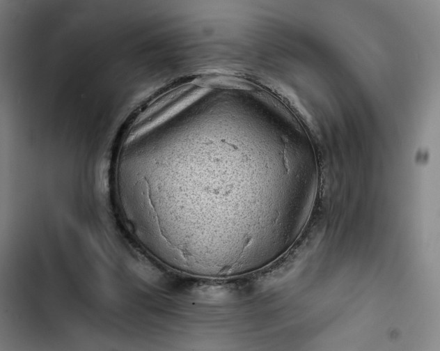 X0000102460299200808221626