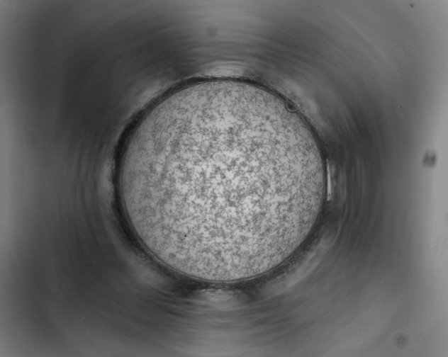 X0000102460300200808221626