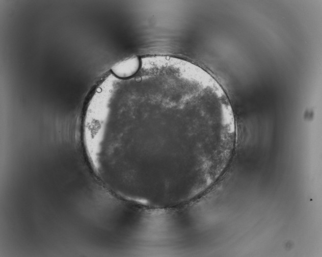 X0000102460301200808221626