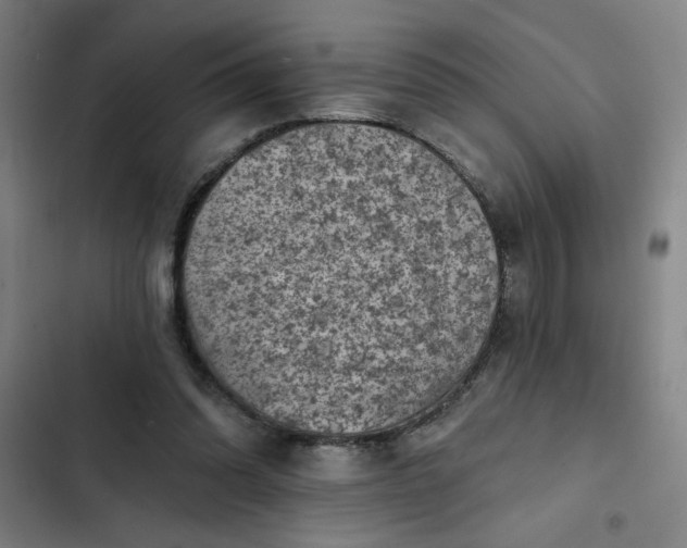 X0000102460302200808221626