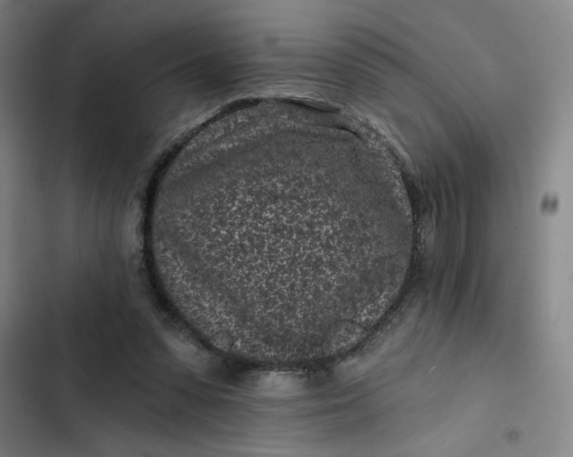 X0000102460303200808221625