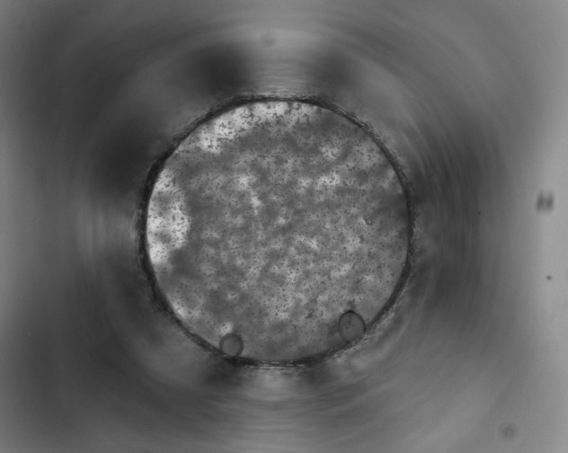 X0000102460305200808221625