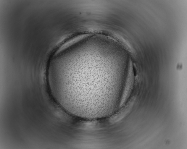 X0000102460306200808221625