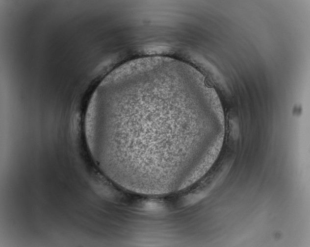 X0000102460308200808221625