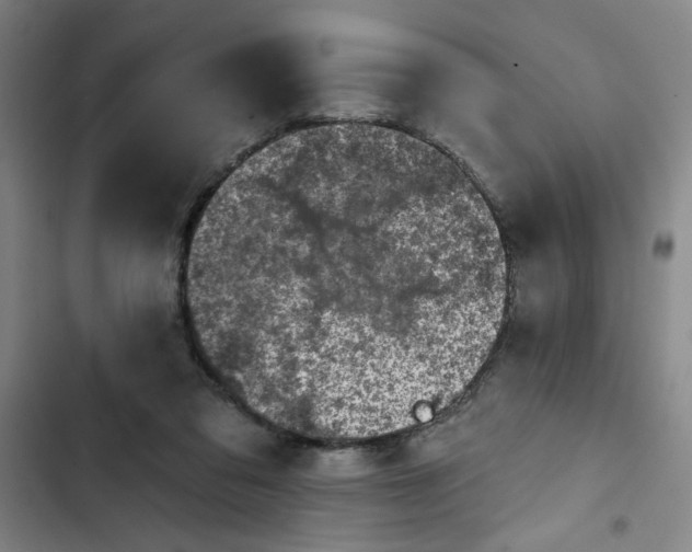 X0000102460309200808221625