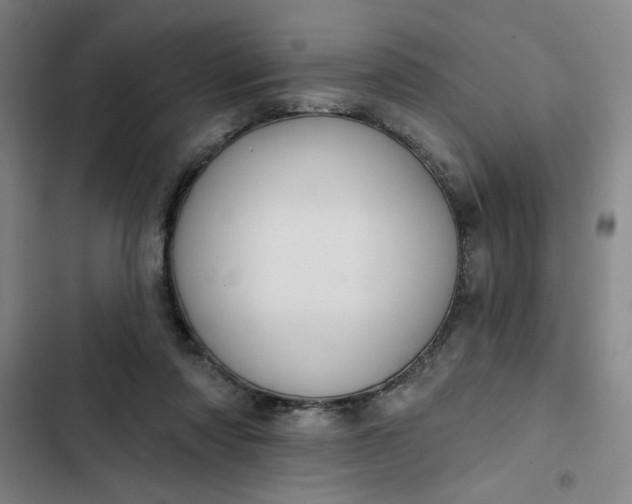 X0000102460310200808221625