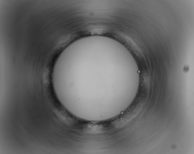 X0000102460311200808221625