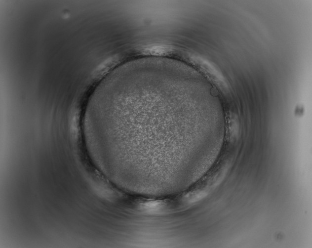 X0000102460312200808221625