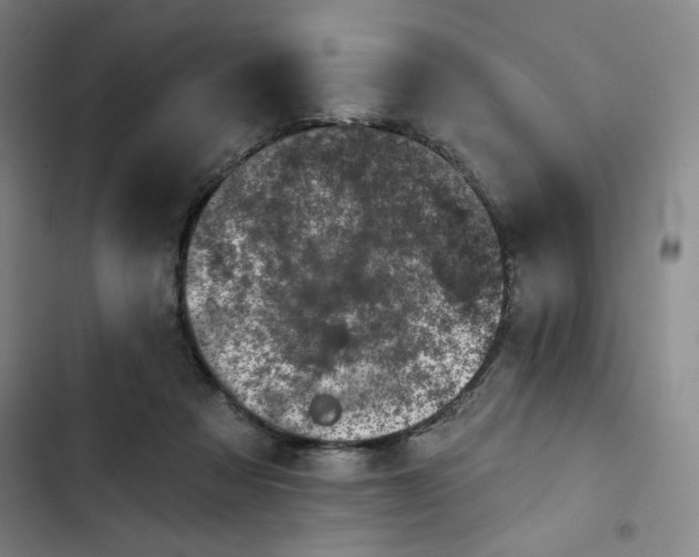 X0000102460313200808221625