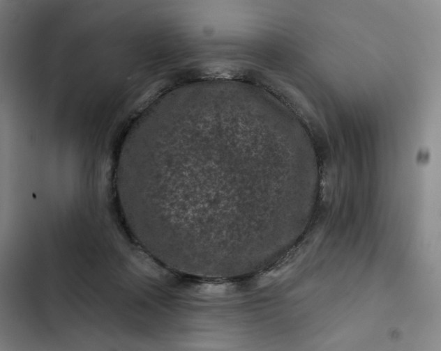 X0000102460314200808221625