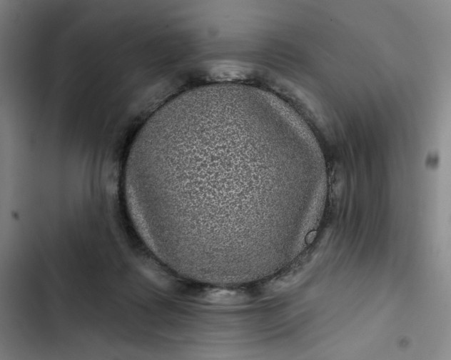 X0000102460315200808221625