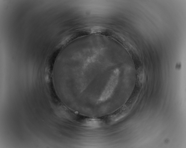 X0000102460316200808221625