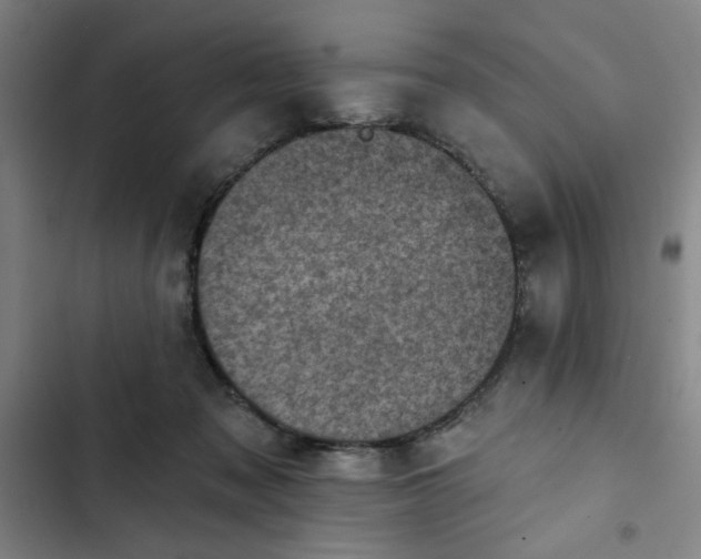 X0000102460317200808221625