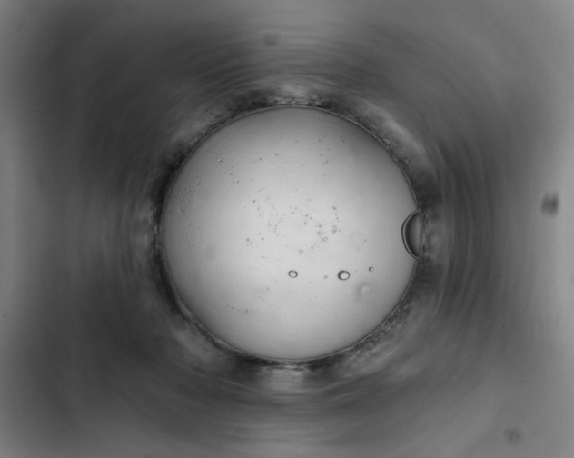 X0000102460318200808221625